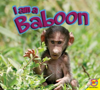 Książka I Am a Baboon John Willis