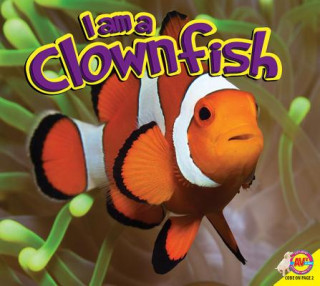 Carte I Am a Clownfish Piper Whelan
