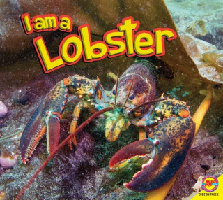 Książka I Am a Lobster Jared Siemens