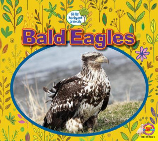 Könyv Bald Eagles Heather Kissock