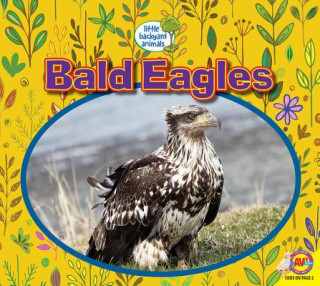 Книга Bald Eagles Heather Kissock