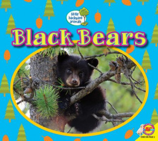 Książka Black Bears Heather Kissock