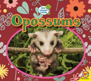 Carte Opossums Heather Kissock