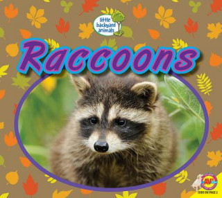 Kniha Raccoons Heather Kissock