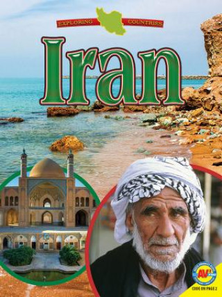 Kniha Iran Blaine Wiseman
