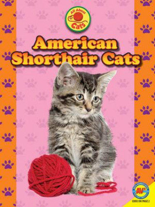 Carte American Shorthair Cats Nancy Furstinger