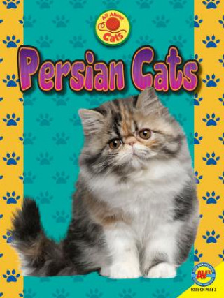 Kniha Persian Cats Tammy Gagne