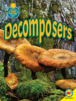 Libro Decomposers Megan Lappi