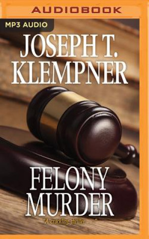 Audio FELONY MURDER                M Joseph T. Klempner