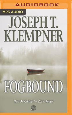 Audio Fogbound Joseph T. Klempner