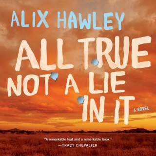 Audio All True Not a Lie in It Alix Hawley