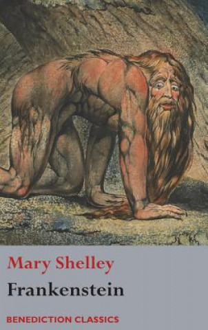 Książka Frankenstein; or, The Modern Prometheus Mary Shelley