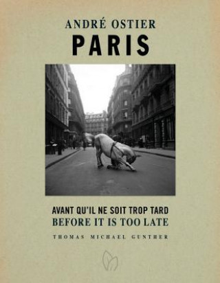 Buch Paris, Before It Is Too Late Thomas Michael Gunther