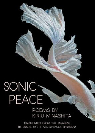 Książka Sonic Peace Kiriu Minashita