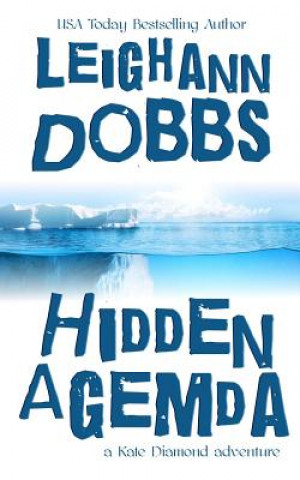 Kniha Hidden Agemda Leighann Dobbs
