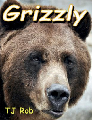 Könyv Grizzly TJ Rob