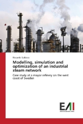 Könyv Modelling, simulation and optimization of an industrial steam network Riccardo Subiaco