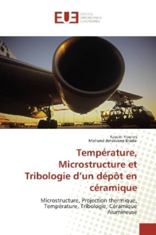 Kniha Température, Microstructure et Tribologie d'un dépôt en céramique Rassim Younes