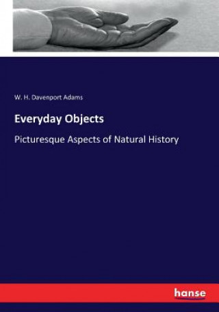 Libro Everyday Objects W. H. Davenport Adams