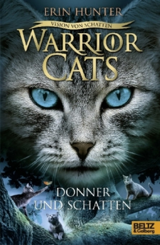 Kniha Warriors Cats Staffel 6/02. Vision von Schatten. Donner und Schatten Erin Hunter