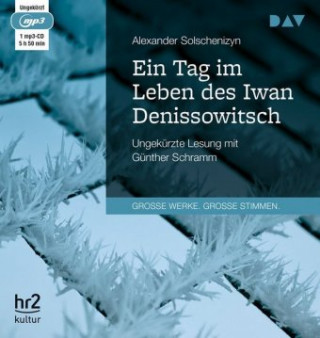 Audio Ein Tag im Leben des Iwan Denissowitsch, 1 Audio-CD, 1 MP3 Alexander Solschenizyn