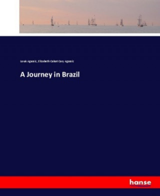 Könyv Journey in Brazil Louis Agassiz