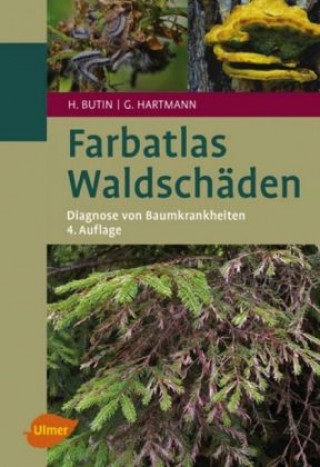 Książka Farbatlas Waldschäden Heinz Butin