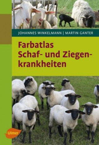 Kniha Farbatlas Schaf- und Ziegenkrankheiten Johannes Winkelmann