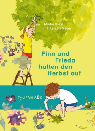 Könyv Finn und Frieda halten den Herbst auf Martin Klein