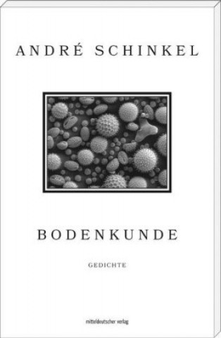 Kniha Bodenkunde André Schinkel