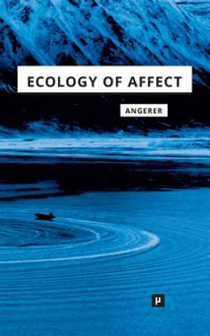 Kniha Ecology of Affect Marie-Luise Angerer