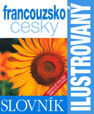 Könyv Ilustrovaný dvojjazyčný slovník francúzsko slovenský 