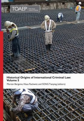 Kniha Historical Origins of International Criminal Law Morten Bergsmo