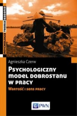 Kniha Psychologiczny model dobrostanu w pracy Czerw Agnieszka