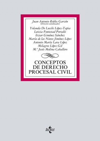 Könyv Conceptos de Derecho procesal civil 