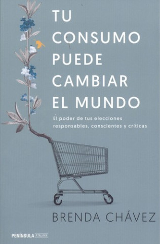 Book Tu consumo puede cambiar el mundo BRENDA CHAVEZ