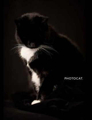 Livre PhotoCat. Sacha De Boer