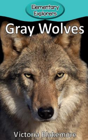 Kniha Gray Wolves Victoria Blakemore