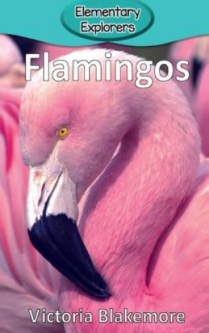 Könyv Flamingos Victoria Blakemore