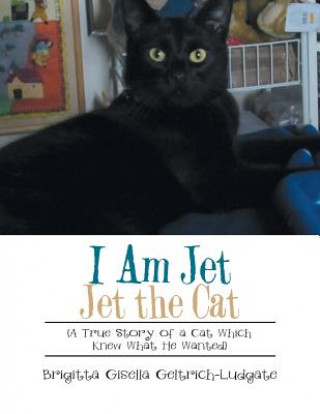 Carte I Am Jet Jet the Cat Brigitta Gisella Geltrich-Ludgate
