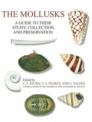 Libro Mollusks C. F. Sturm