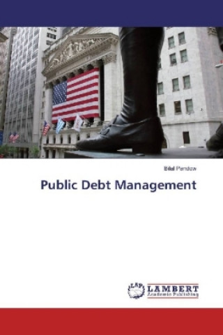 Kniha Public Debt Management Bilal Pandow