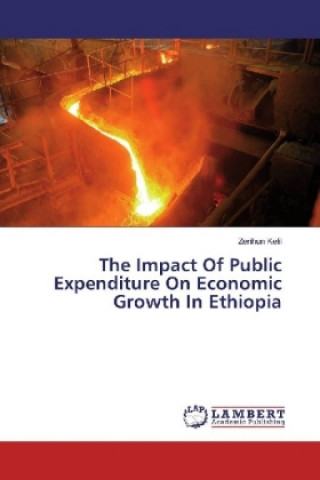 Kniha The Impact Of Public Expenditure On Economic Growth In Ethiopia Zerihun Kelil