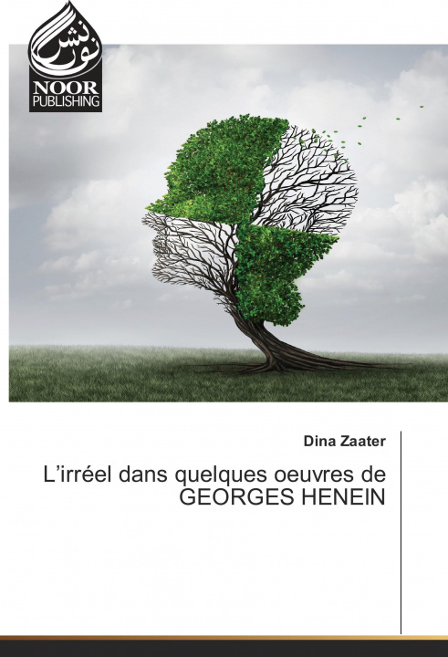 Książka L'irréel dans quelques oeuvres de GEORGES HENEIN Dina Zaater