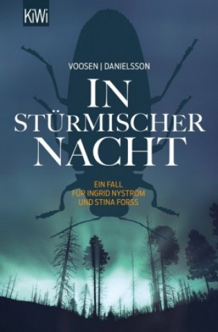 Knjiga In stürmischer Nacht Roman Voosen