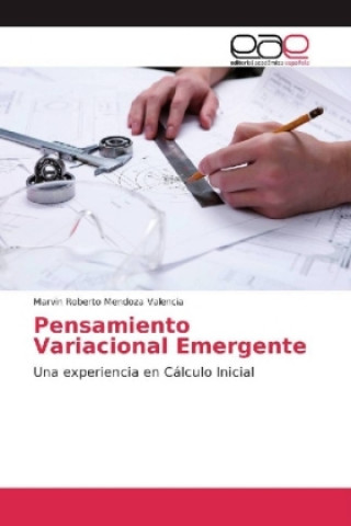 Buch Pensamiento Variacional Emergente Marvin Roberto Mendoza Valencia