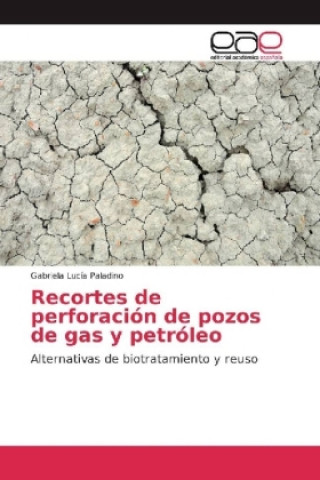 Könyv Recortes de perforación de pozos de gas y petróleo Gabriela Lucía Paladino