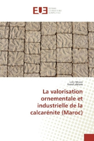 Kniha La valorisation ornementale et industrielle de la calcarénite (Maroc) Laila Mesrar