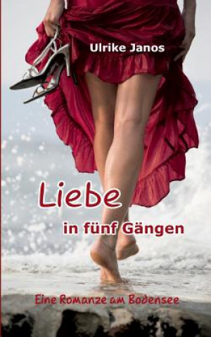 Книга Liebe in funf Gangen Ulrike Janos