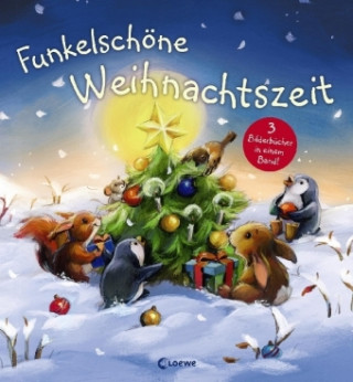 Kniha Funkelschöne Weihnachtszeit Polona Lovsin